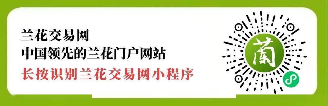 皇冠信用盘会员开户_第一重礼:以兰养兰申请普通卖家优惠福利活动