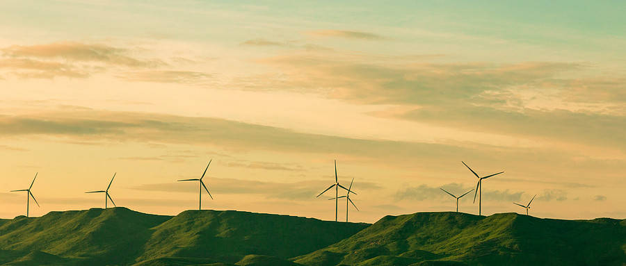 怎么申请皇冠信用网_企业信用受损怎么办怎么申请皇冠信用网?申请茂名市企业信用修复需要哪些材料?