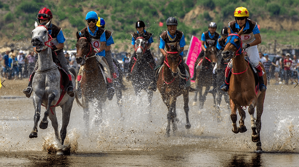 欧洲杯举办地_30余家俱乐部参与角逐欧洲杯举办地,这地举办了疫情放开后首次省级赛马