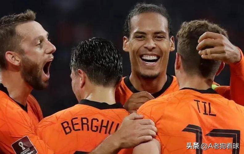 欧洲杯荷兰_欧洲杯:法国VS荷兰