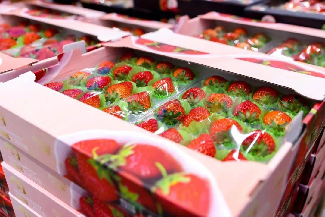 皇冠会员如何申请_家家都要买的这些年货皇冠会员如何申请,春节之前“卷”起来了!