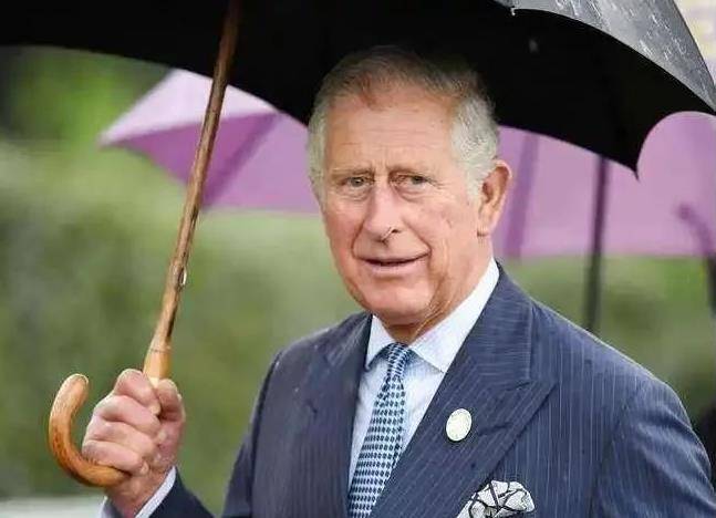 皇冠足球平台在哪里注册_女王儿子又得新冠皇冠足球平台在哪里注册,儿媳卡米拉的王后之位,还能坐上吗?