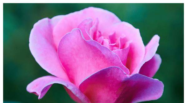 皇冠信用网开号_5.21-5.31号运势极佳皇冠信用网开号,财路大开,有钱有势3生肖