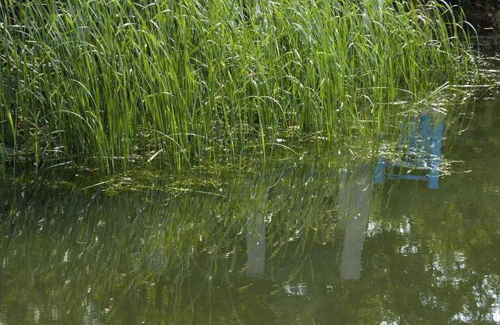 皇冠登一登二登三区别_旅游日记 之三 (登太阳山游记)
