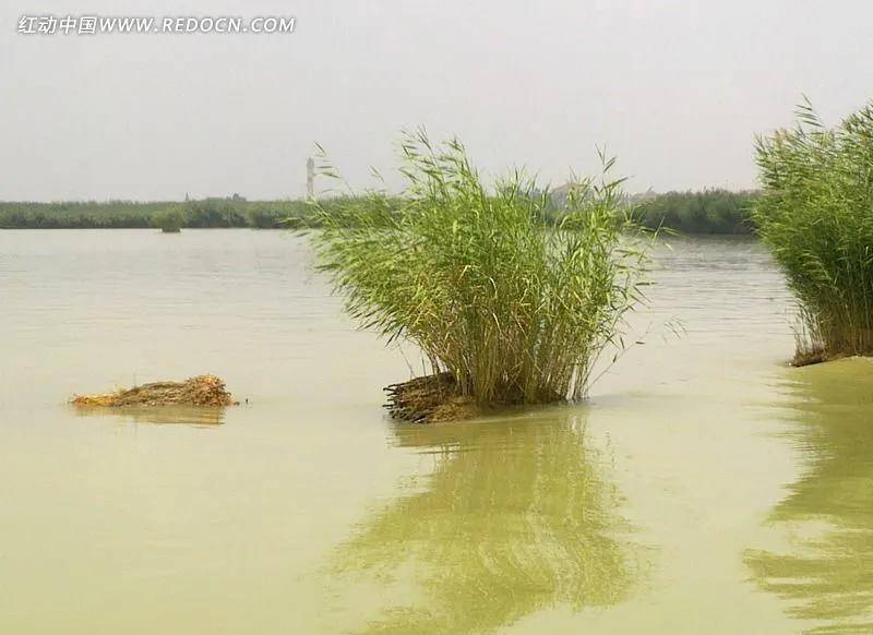 皇冠登一登二登三区别_旅游日记 之三 (登太阳山游记)