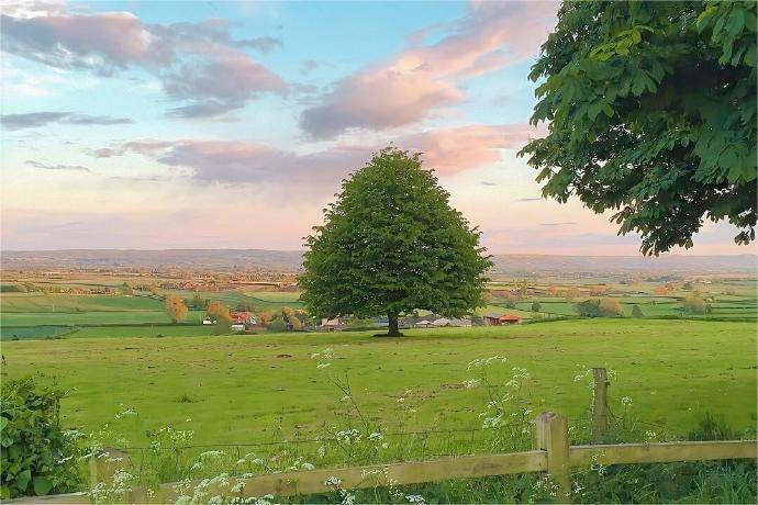 皇冠信用网注册开户_50ETF期权开户如何注册皇冠信用网注册开户?