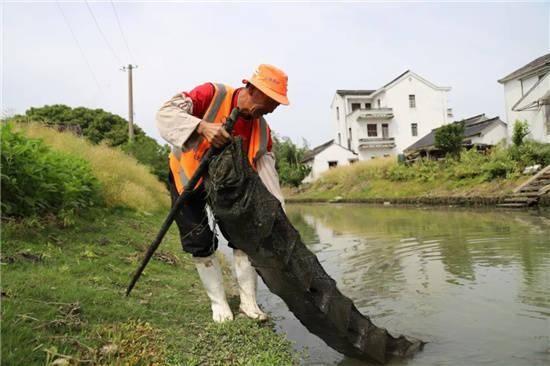 皇冠信用网正网_提升河道颜值皇冠信用网正网!金山这里正进行“清网行动”