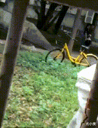 皇冠信用怎么弄_人家就是谈个恋爱皇冠信用怎么弄,你们怎么一直在看啊!哈哈