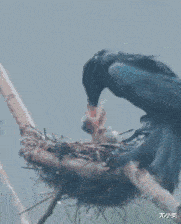 皇冠信用怎么弄_人家就是谈个恋爱皇冠信用怎么弄,你们怎么一直在看啊!哈哈