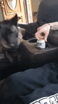 皇冠信用怎么弄_人家就是谈个恋爱皇冠信用怎么弄,你们怎么一直在看啊!哈哈