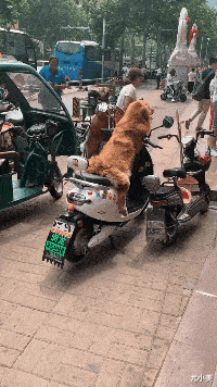 皇冠信用怎么弄_人家就是谈个恋爱皇冠信用怎么弄,你们怎么一直在看啊!哈哈