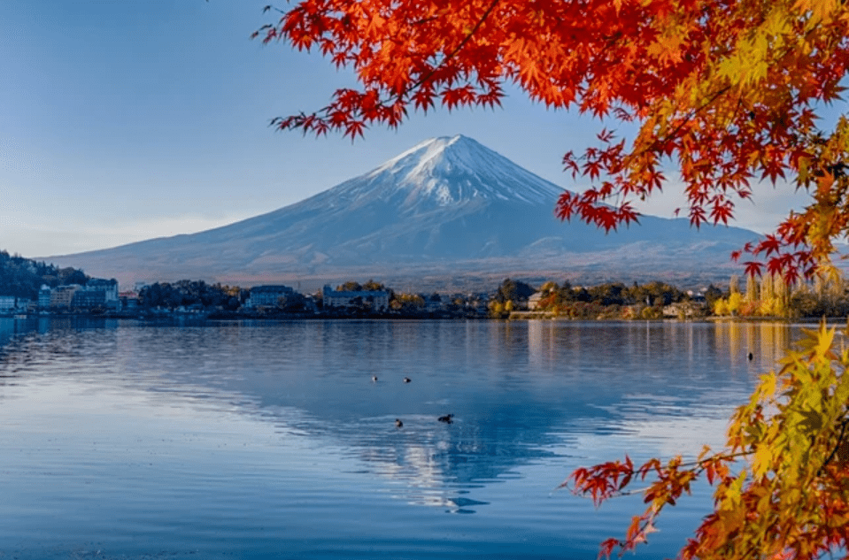 皇冠信用网占成代理_想吸引更多中国游客皇冠信用网占成代理,普及电子支付很重要?