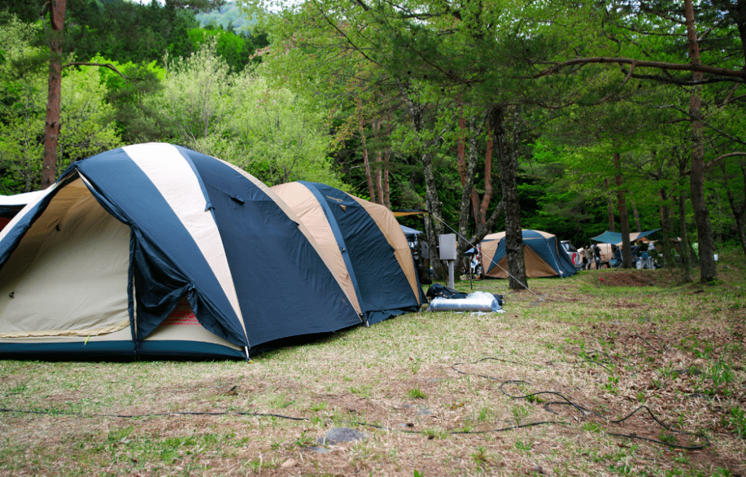 皇冠信用网占成代理_想吸引更多中国游客皇冠信用网占成代理,普及电子支付很重要?