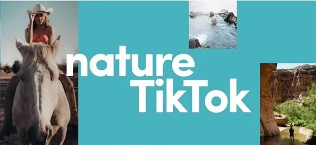 怎么申请皇冠信用网_TIKTOK公会怎么申请怎么申请皇冠信用网?