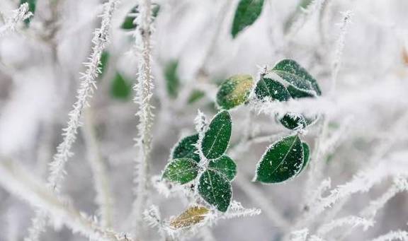 好世界杯时间安排_成年人的世界好世界杯时间安排,就连情绪崩溃也要安排好时间