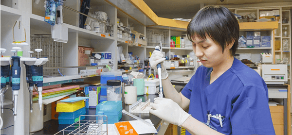 皇冠信用网在线申请_仅在线面试皇冠信用网在线申请!北海道大学医学专业硕博课程申请攻略