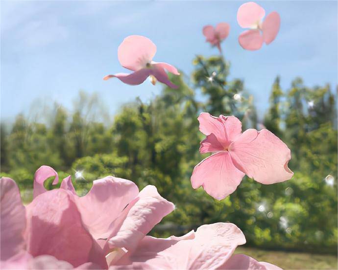 皇冠信用网怎么开户_期权开户以后怎么玩皇冠信用网怎么开户?