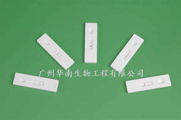 皇冠信用网登1_登革病毒NS1抗原/IgG/IgM抗体联合检测试剂(胶体金法)