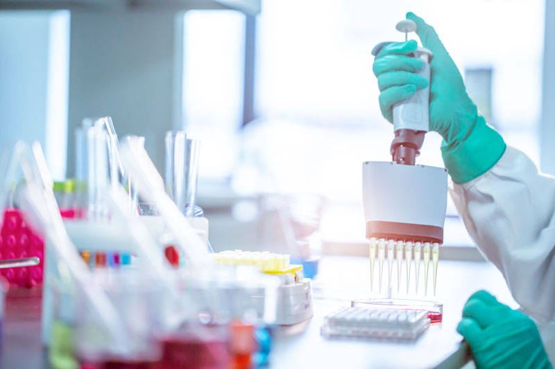 皇冠信用网怎么注册_新加坡HSA注册怎么注册申请皇冠信用网怎么注册?