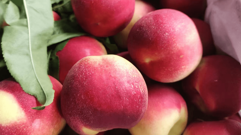 怎么开皇冠信用网_开水果店选址怎么选怎么开皇冠信用网,开家水果店怎么选址