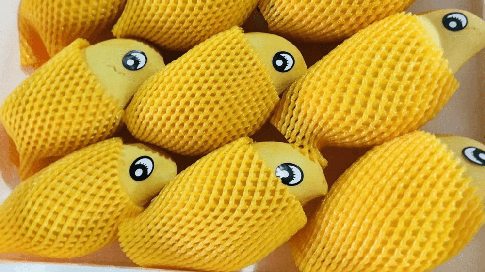 怎么开皇冠信用网_开水果店选址怎么选怎么开皇冠信用网,开家水果店怎么选址