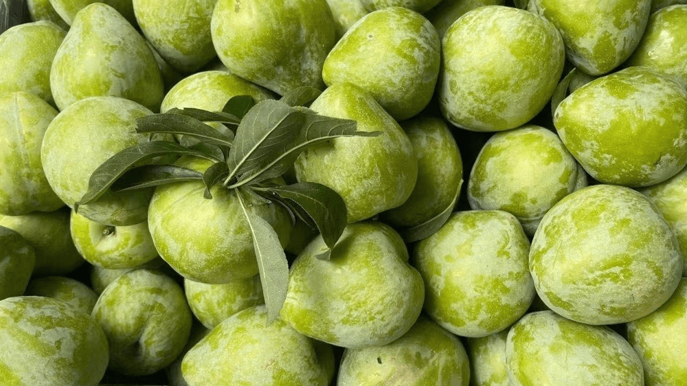 怎么开皇冠信用网_开水果店选址怎么选怎么开皇冠信用网,开家水果店怎么选址