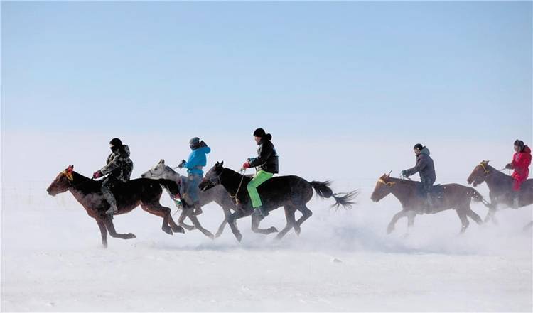 波兰超级联赛_飒爽波兰超级联赛!蒙古马超级联赛