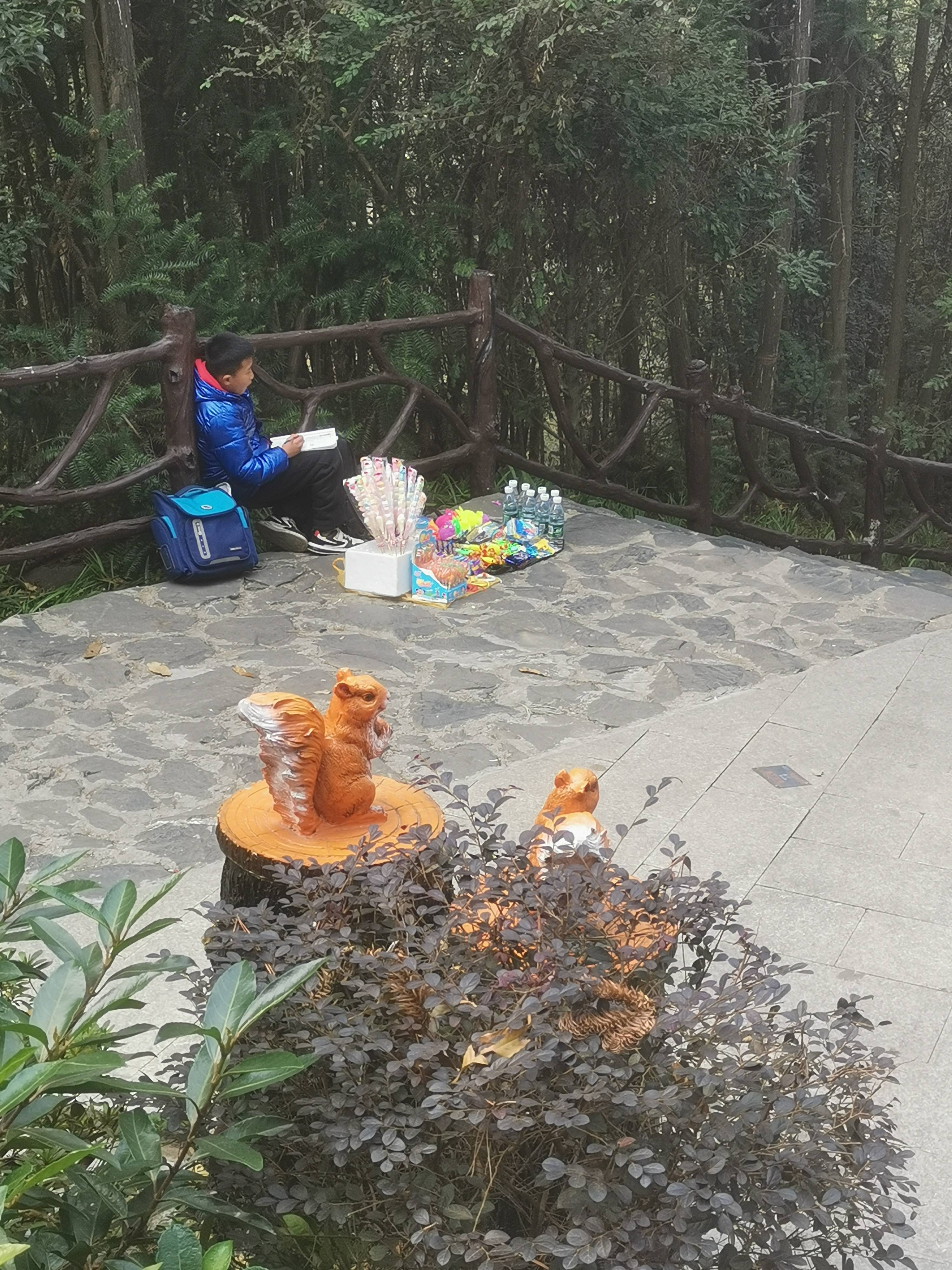 皇冠信用网登1_元旦登两楼:楼台山和状元楼【2024.1.1.】