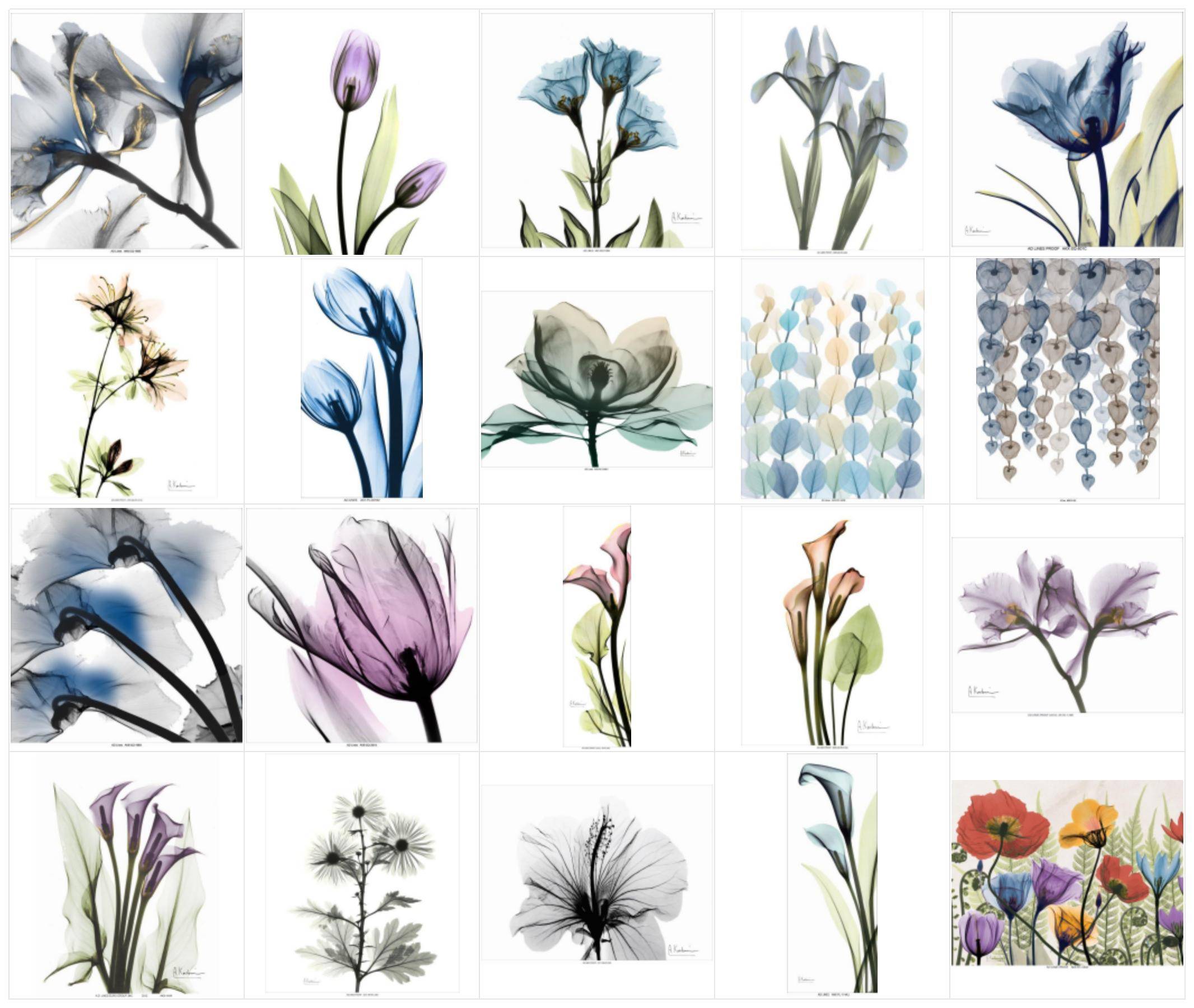 皇冠信用登2代理_艺术家Albert Koetsier发起版权维权皇冠信用登2代理,KEITH代理,连发2案子