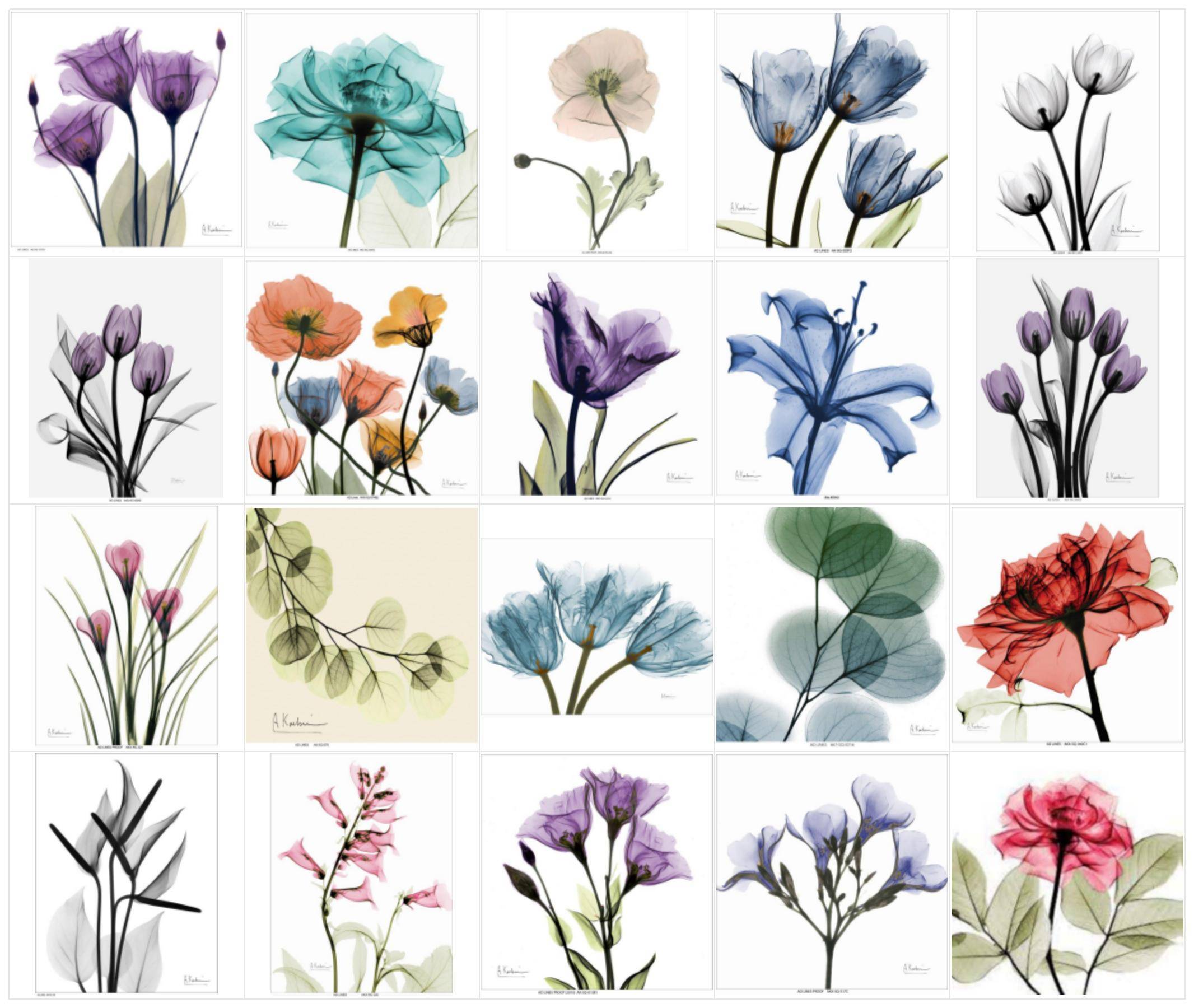 皇冠信用登2代理_艺术家Albert Koetsier发起版权维权皇冠信用登2代理,KEITH代理,连发2案子