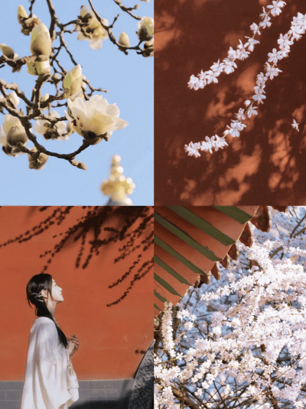 年轻人足球_“坐地铁三号线经过虹口足球场年轻人足球,能看到樱花花海……”赏花季,年轻人“新玩法”迭出