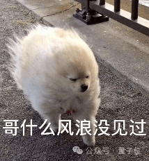 怎么开皇冠信用平台_GPT Store都开不下去怎么开皇冠信用平台,这家国产平台怎么敢走这条路的??