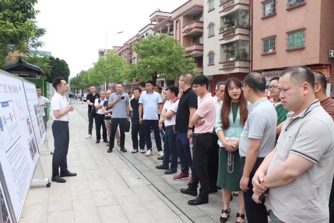 正网皇冠信用网_清爽~道滘正逐渐告别“蜘蛛网”正网皇冠信用网!