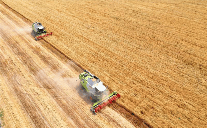 皇冠信用网正网_麦收季节南到北皇冠信用网正网,网约农机正当时