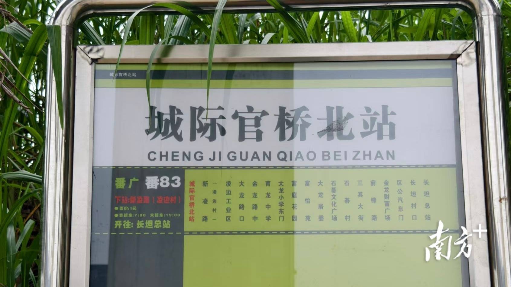 新2线路_配合“大湾区地铁”上新新2线路!番禺2条公交线路同步调整优化