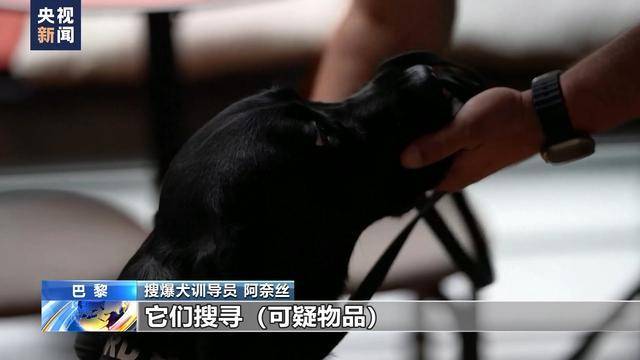 巴黎奥运会开幕式_确保巴黎奥运会开幕式安全巴黎奥运会开幕式,“汪汪队”抓紧巡逻