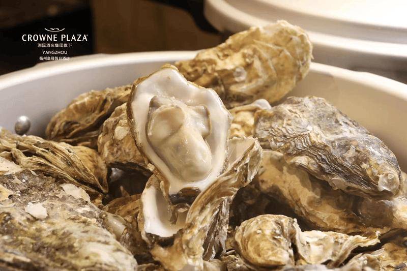 皇冠代理登1,2,3_【扬州皇冠假日酒店】3天2晚¥999起享高级房2间夜(不含早)+首日欢迎水果1份+室内恒温游泳池等~