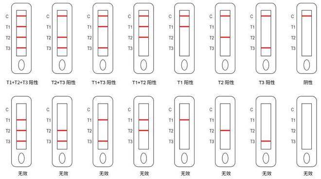 皇冠信用网登1_登革病毒NS1抗原(胶体金法)