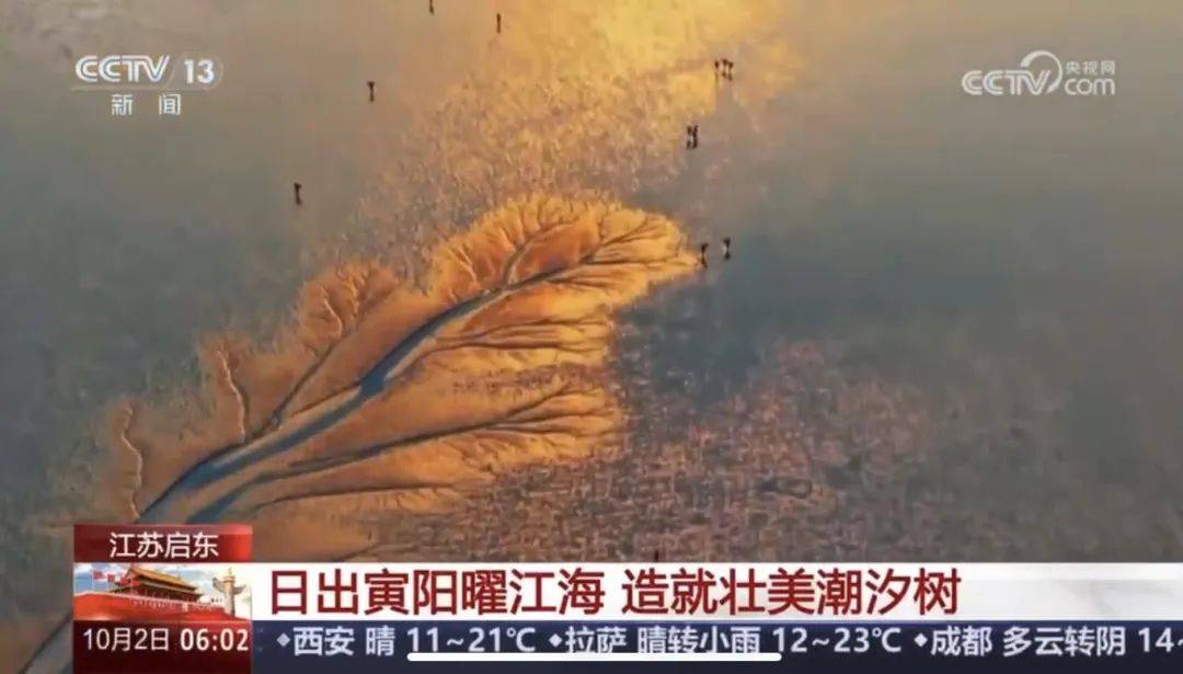 皇冠登一登二登三区别_假期第二天皇冠登一登二登三区别,启东又登央视了!