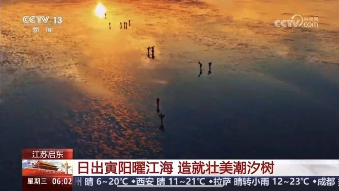 皇冠登一登二登三区别_假期第二天皇冠登一登二登三区别,启东又登央视了!