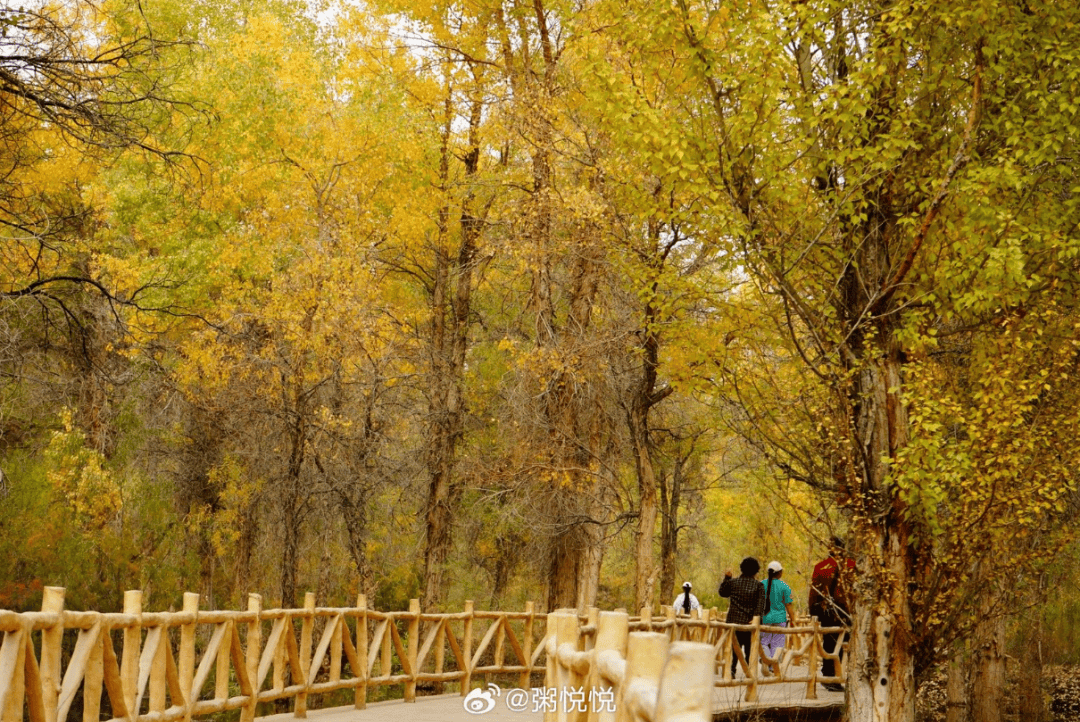 皇冠登一登二登三区别_一不小心,登了个报皇冠登一登二登三区别。