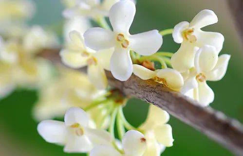 怎么开皇冠信用网_怎么还不开怎么开皇冠信用网?