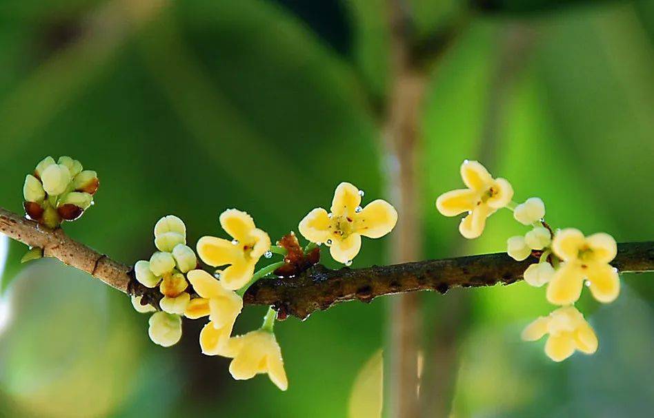 怎么开皇冠信用网_怎么还不开怎么开皇冠信用网?