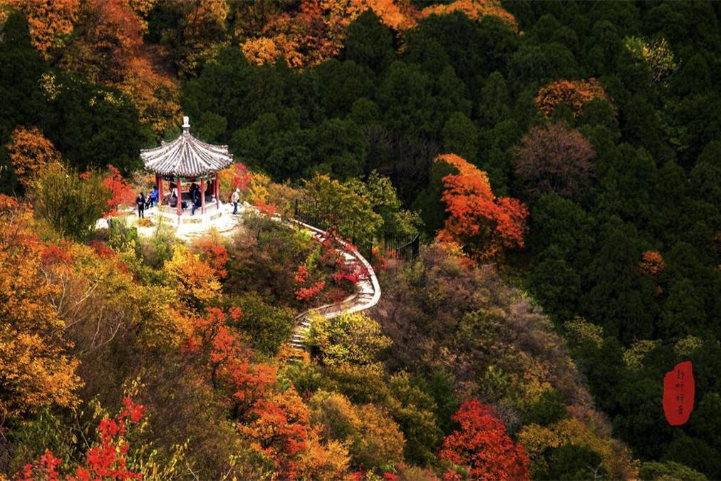 皇冠信用盘登1,登2,登3出租_九九重阳节皇冠信用盘登1,登2,登3出租,别忘“1登2吃3敬4忌”,遵循老传统,祝老人健康平安