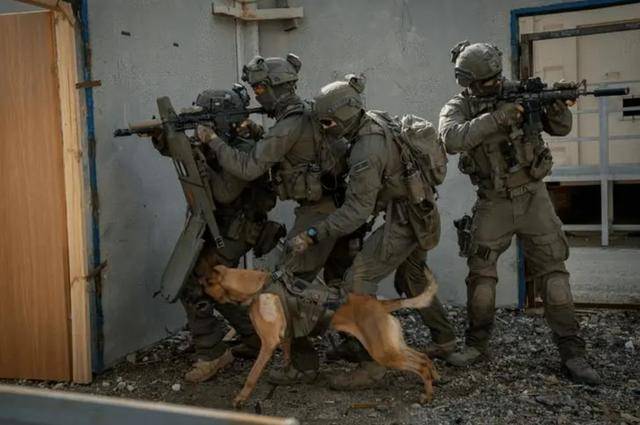 皇冠足球平台在哪里注册_以军伞兵从天而降!深夜杀入敌军老巢皇冠足球平台在哪里注册,一开门,差一点被反杀