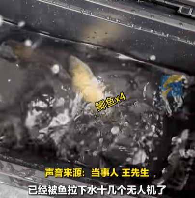 皇冠信用網最高占成_男子在家操控无人机钓鱼皇冠信用網最高占成,当天就钓上十几条,当事人:不要轻易尝试,已被鱼拉下水十几个无人机