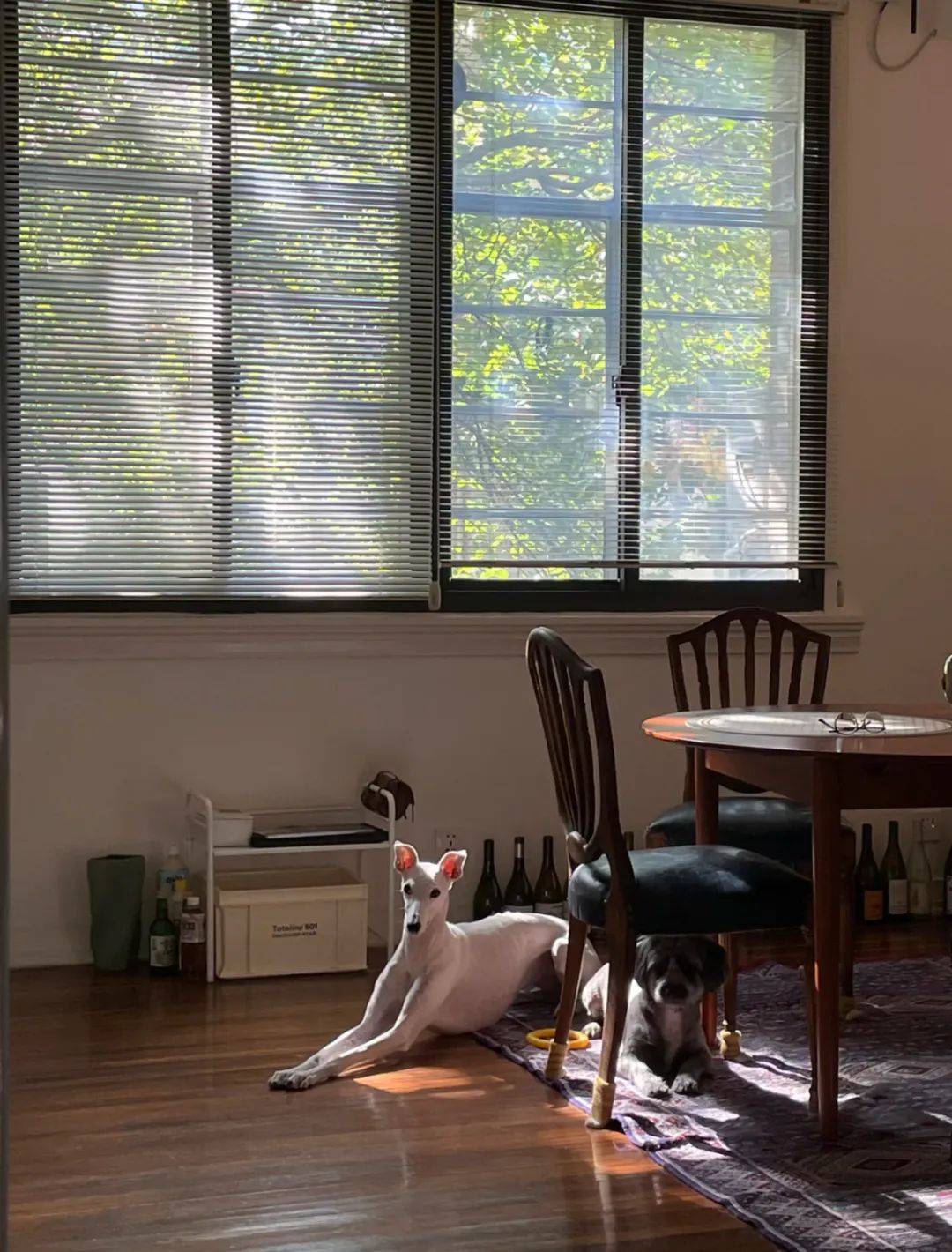 怎么注册皇冠信用网_辞职、出国、卖掉老洋房怎么注册皇冠信用网,一个上海精英决定换种生活