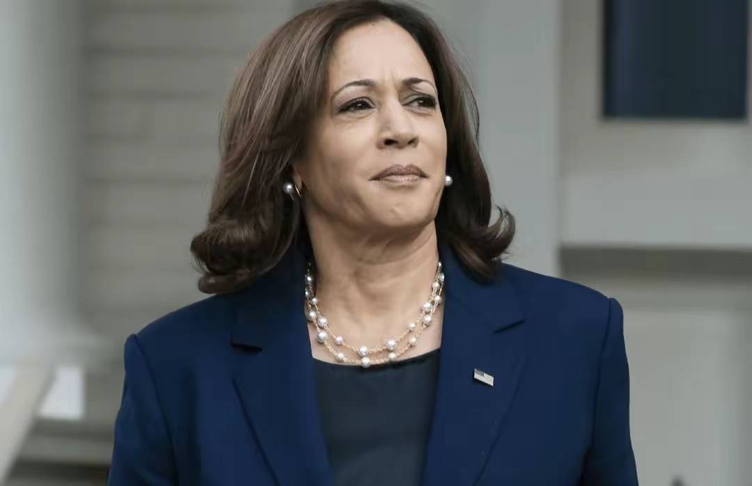 皇冠信用网账号开通_美大选最后时刻!哈里斯蓄力反击皇冠信用网账号开通,特朗普高调造势!局势愈发走向失控