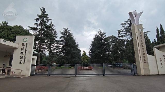 皇冠信用网去哪里弄_“可以蒸蛋”!昆明一女子家中搓衣板上长菌皇冠信用网去哪里弄,品种竟是……