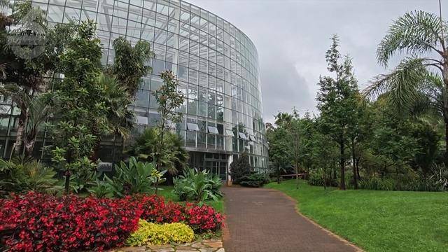 皇冠信用网去哪里弄_“可以蒸蛋”!昆明一女子家中搓衣板上长菌皇冠信用网去哪里弄,品种竟是……